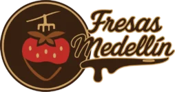 fresas con Chocolate en medellin